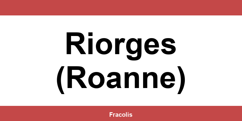 Numéro de téléphone de l'agence DPD à Riorges (Roanne)