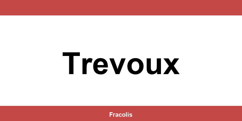 Numéro de téléphone de l'agence DPD à Trevoux